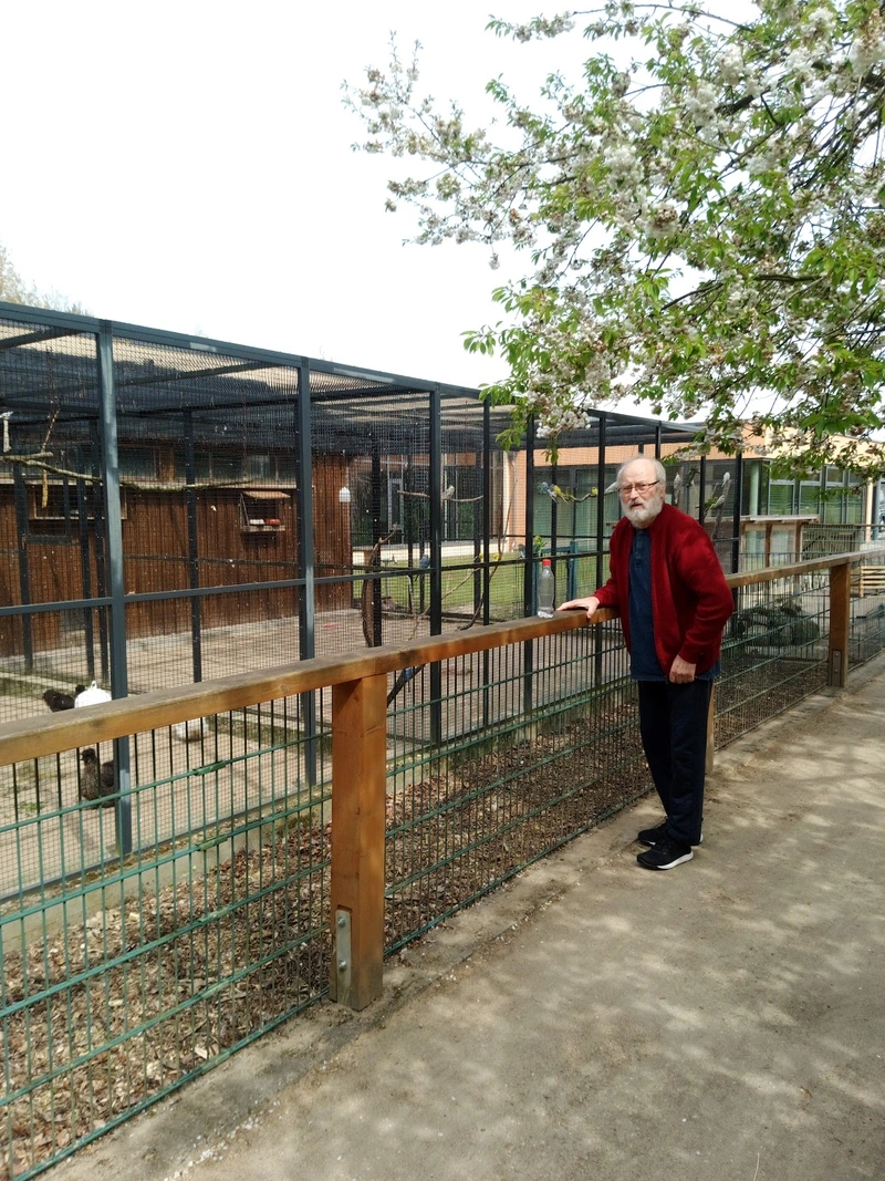 Advent-Wohlfahrtswerk Seniorenheim Friedensau gGmbH – Bild 3