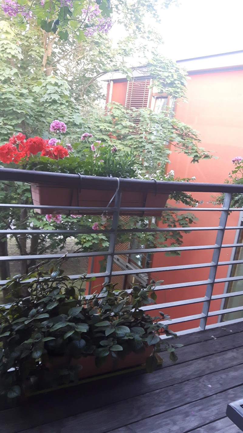 Tagespflege am Hagenhof – Bild 3