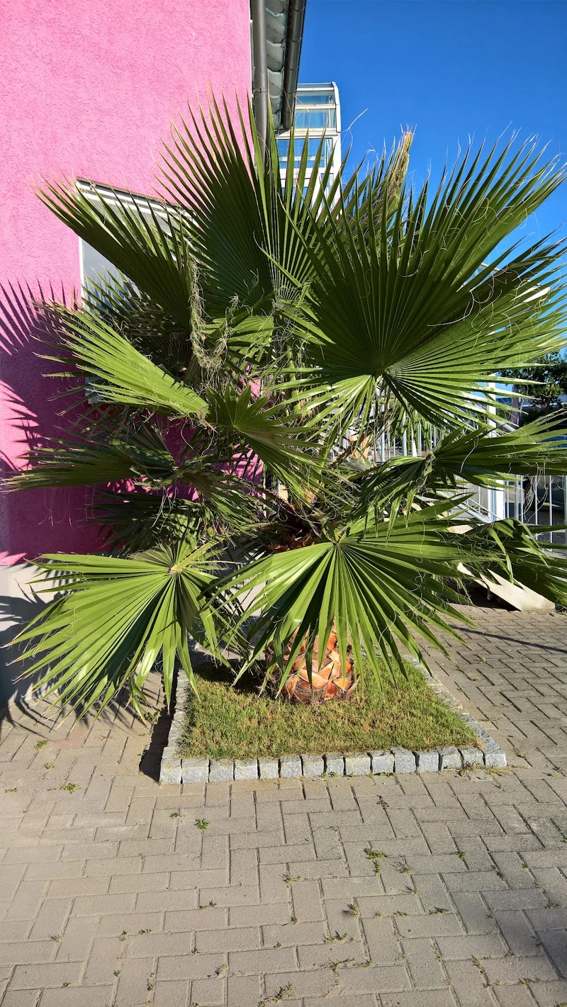 SPPS Oberhausen – Bild 2