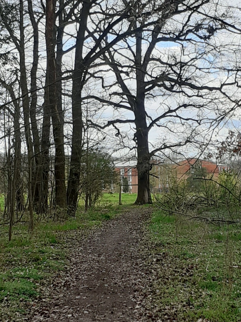 Eleos GmbH Senioren-Pflegeheim "Süplinger Berg" – Bild 4