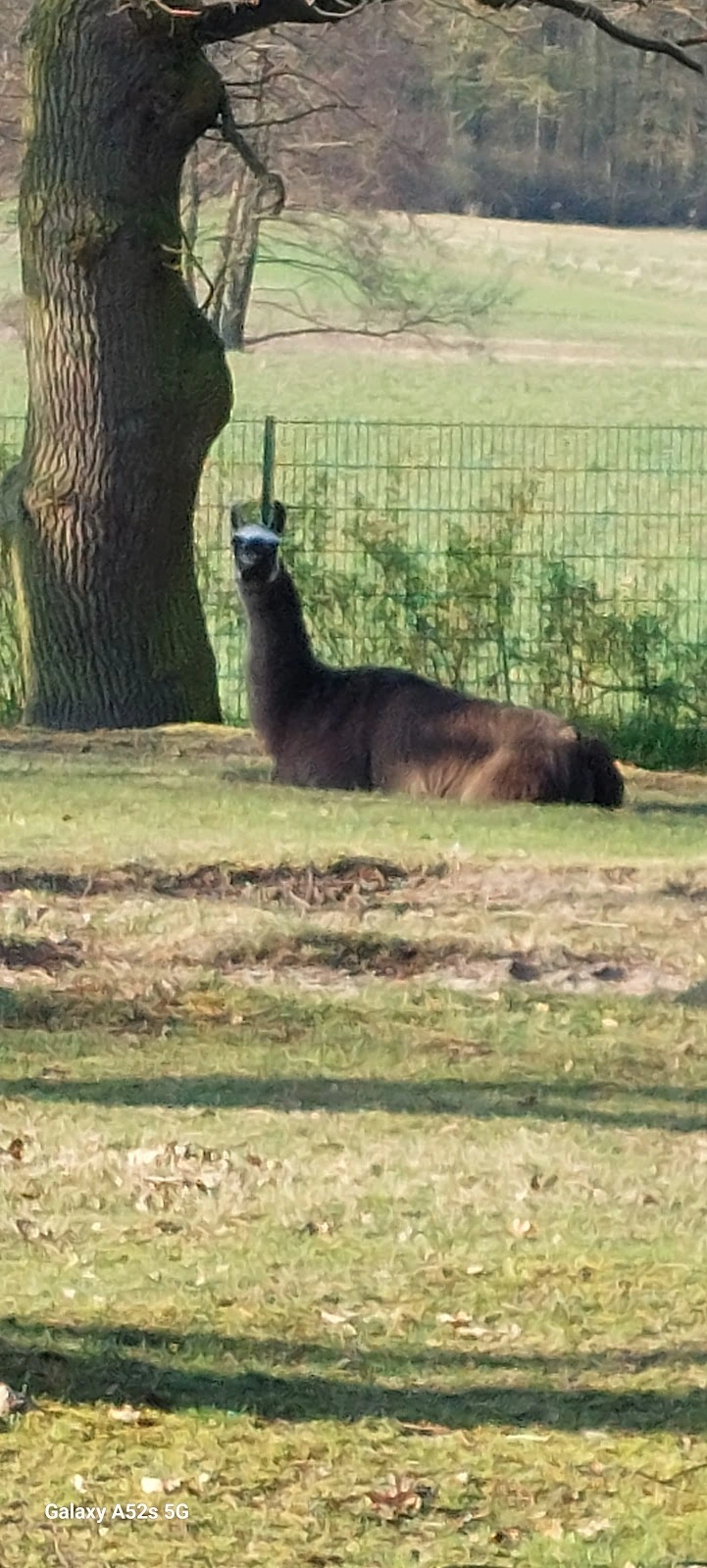 Tagespflege Casa Florentina – Bild 2