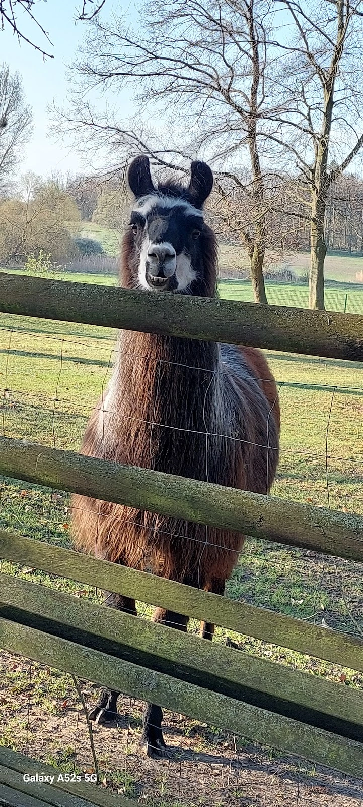 Tagespflege Casa Florentina – Bild 4