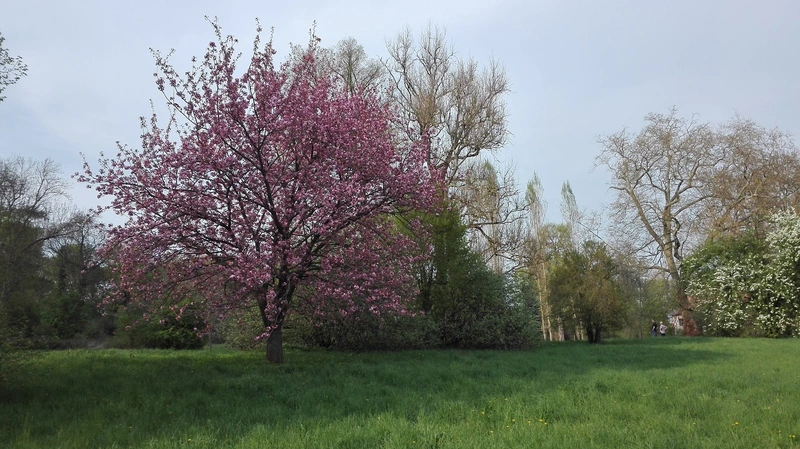 Caritas Altenpflegeheim St. Josefinum – Bild 2