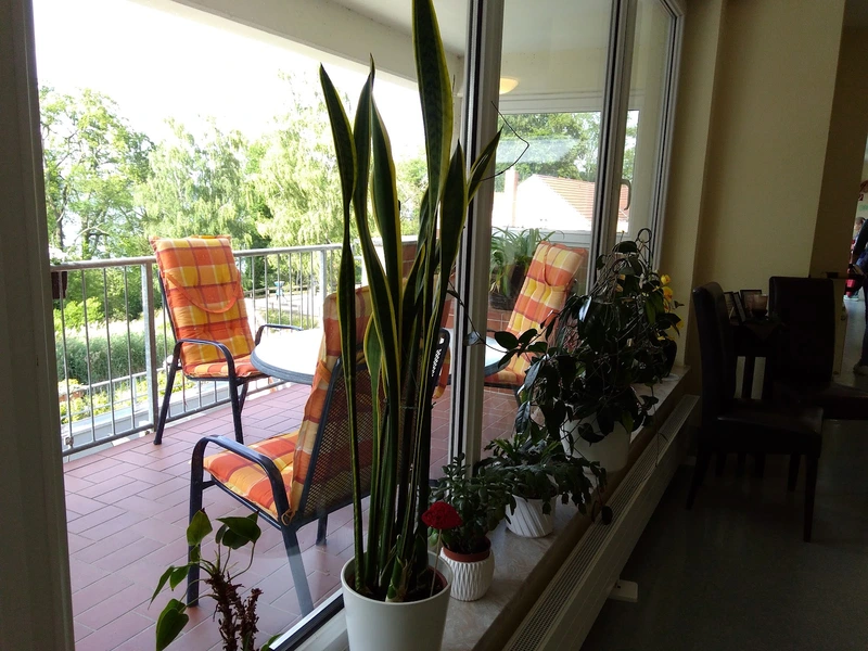 Gemeinnützige Paritätische Sozialwerke - PSW GmbH – Bild 2