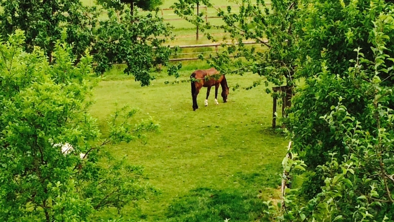 Liebevolle - Betreuung 24 UG – Bild 1