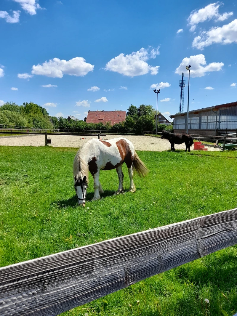 Liebevolle - Betreuung 24 UG – Bild 3