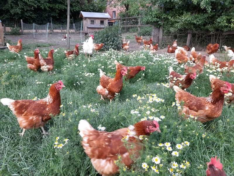 Liebevolle - Betreuung 24 UG – Bild 4