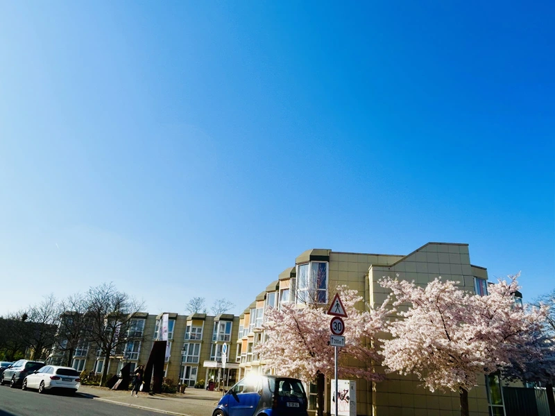 Ernst- und Berta-Grimmke-Haus Wohngemeinschaft 3. OG – Bild 3