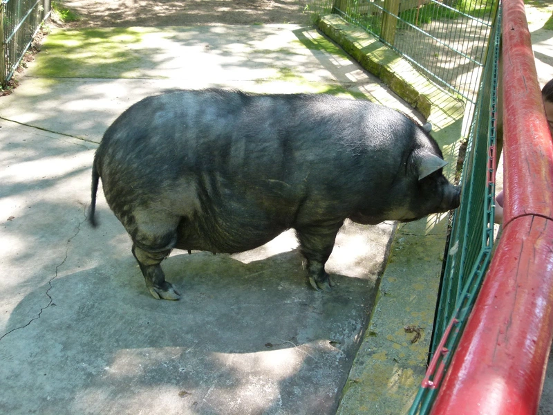 Arche Noah Meerbusch e.V. – Bild 1