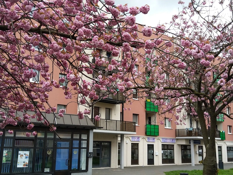 Sperantes – Bild 2