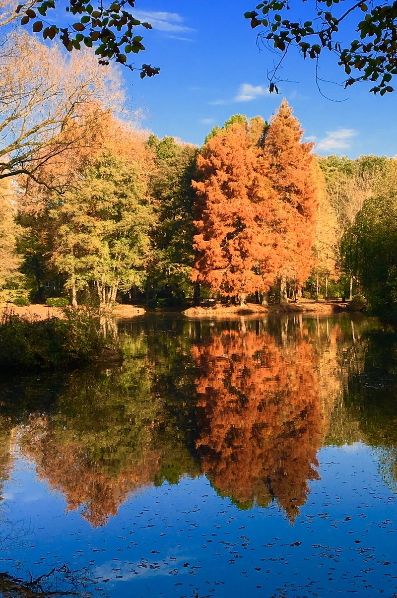 Tagespflege am Volksgarten – Bild 2