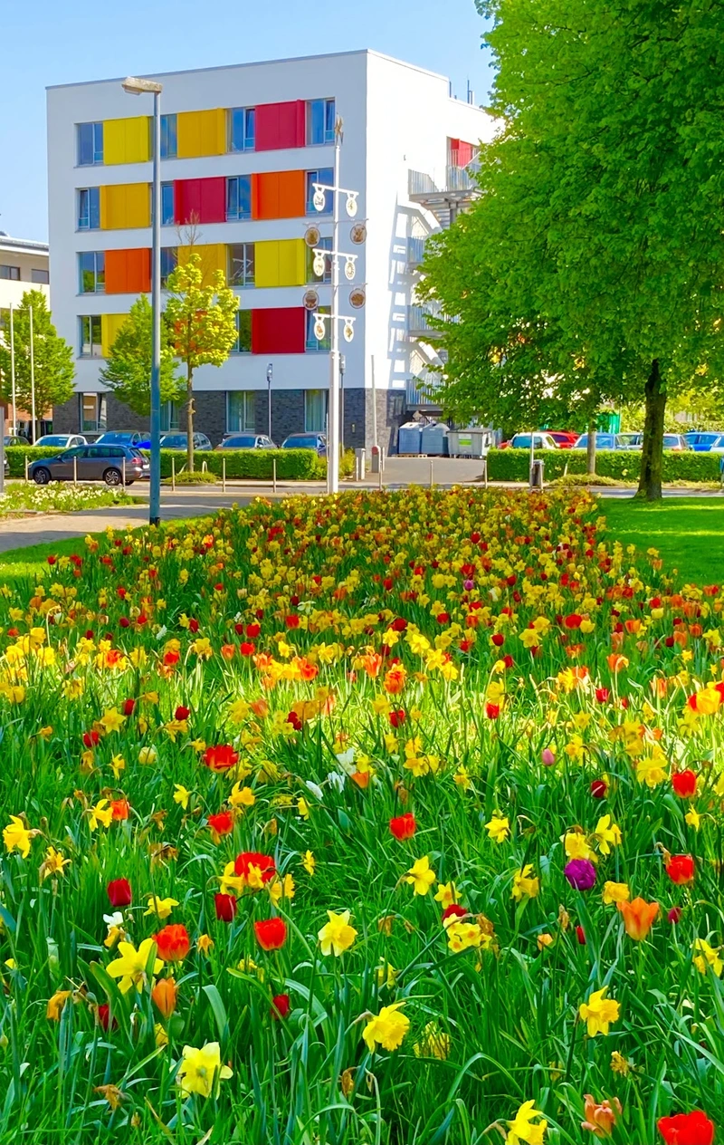 Caritaszentrum Holt - Pflegewohnhaus - – Bild 2