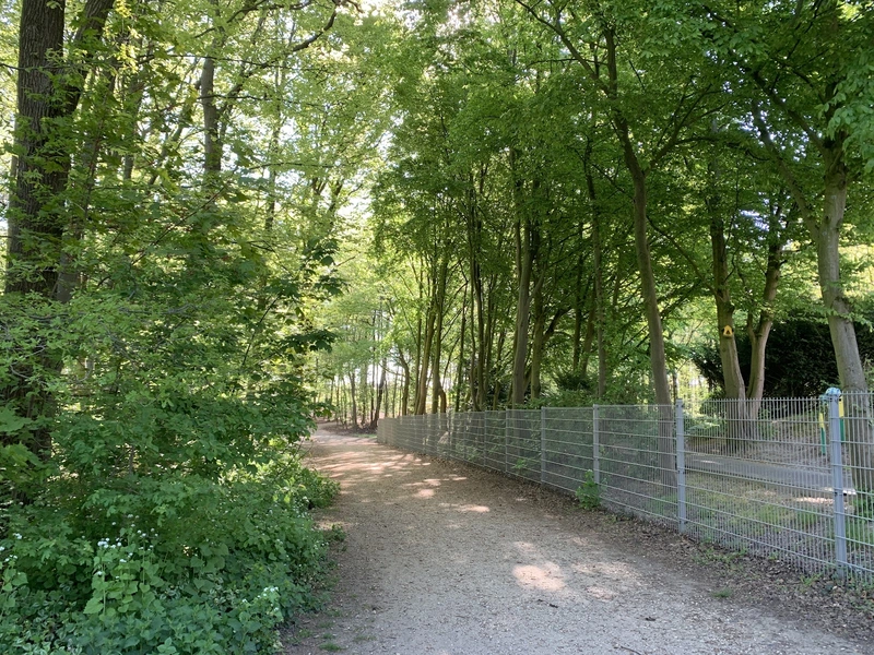 Haus am Buchenhain Ev. Altenheim – Bild 2