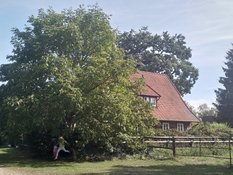 Gemeinsam Wohnen mit Demenz – Bild 3