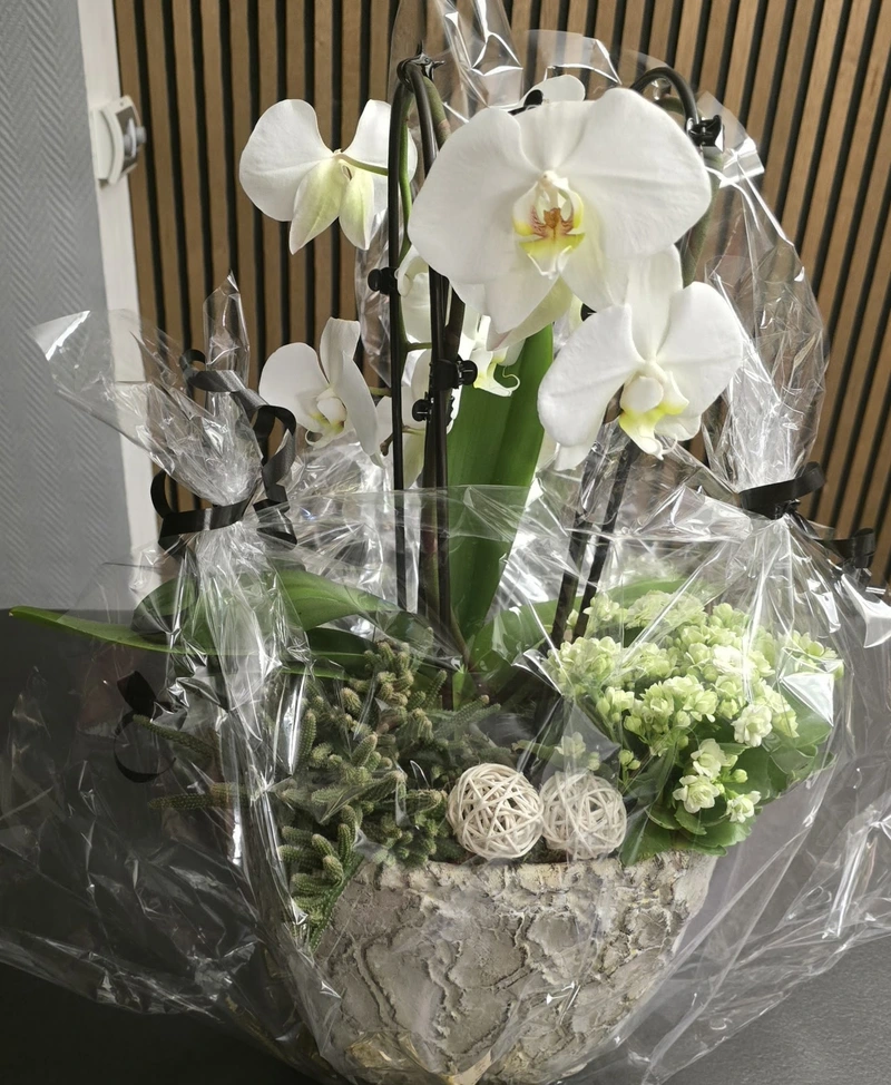 Burak Pflegedienst – Bild 3