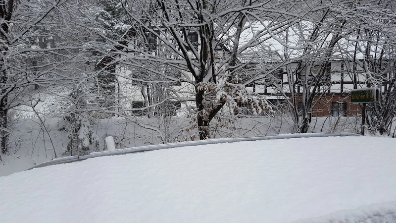 Alltags- und Haushalthilfe – Bild 2