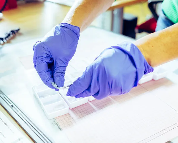 Lebenshilfe Service Bergisches Land gGmbH – Bild 2