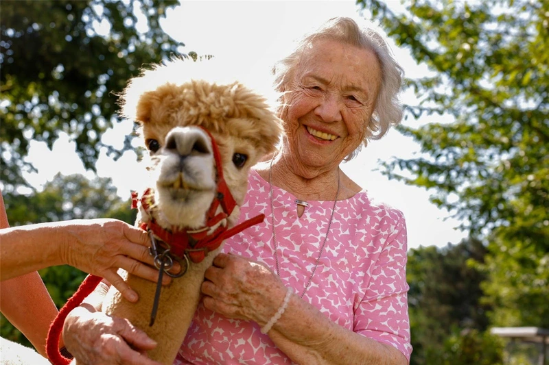 Tagespflege Derne – Bild 5