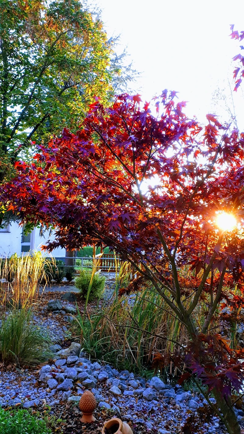 Seniorenheim Mengede - Tagespflege – Bild 1