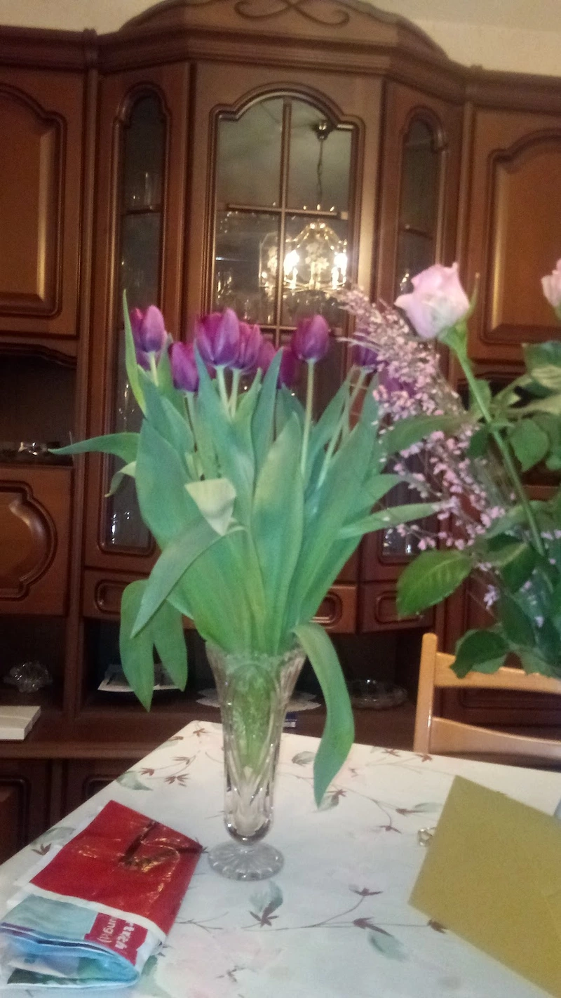 Berlin-Brandenburger Pflege Engel – Bild 2