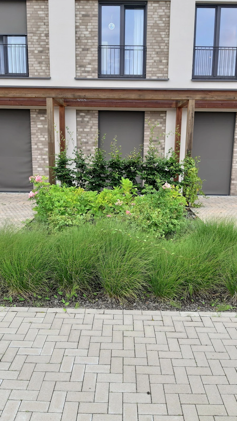 Widumer Höfe - Haus Nr. 2 - Vollstationär – Bild 2