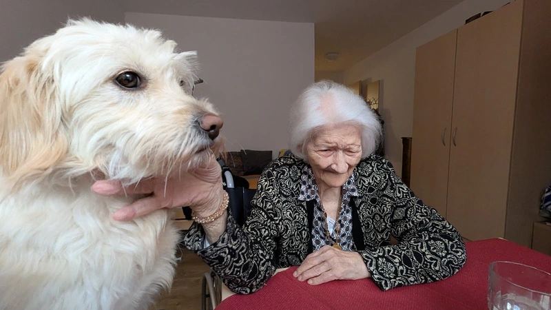 Deutsches Rotes Kreuz Kreisverband Essen e. V. Pflegezentrum Solferino – Bild 4