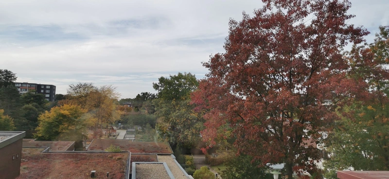 Elisabeth Brune Seniorenzenrum – Bild 4