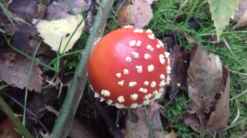 Seniorenzentrum St. Teresa – Bild 2