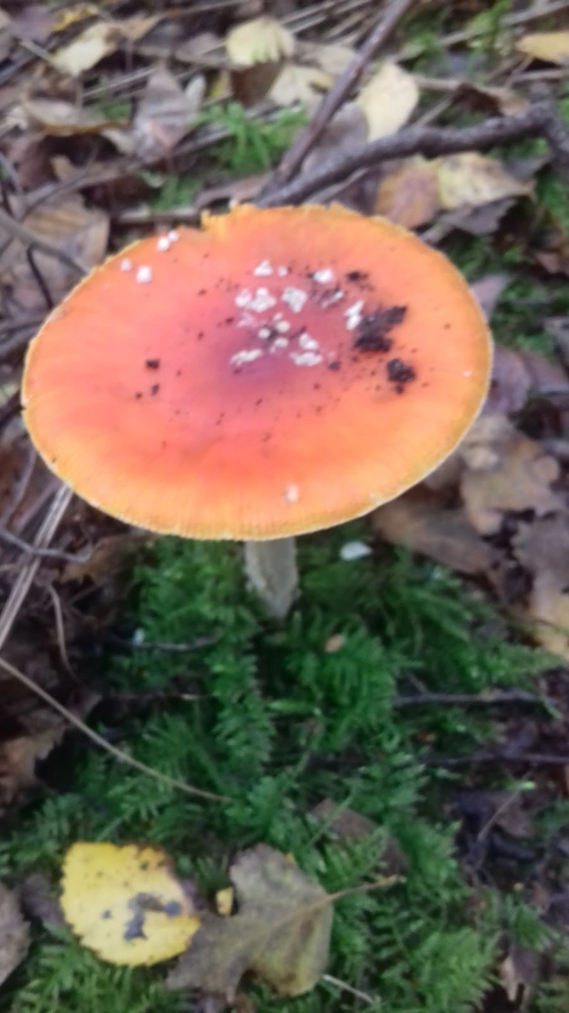 Seniorenzentrum St. Teresa – Bild 3