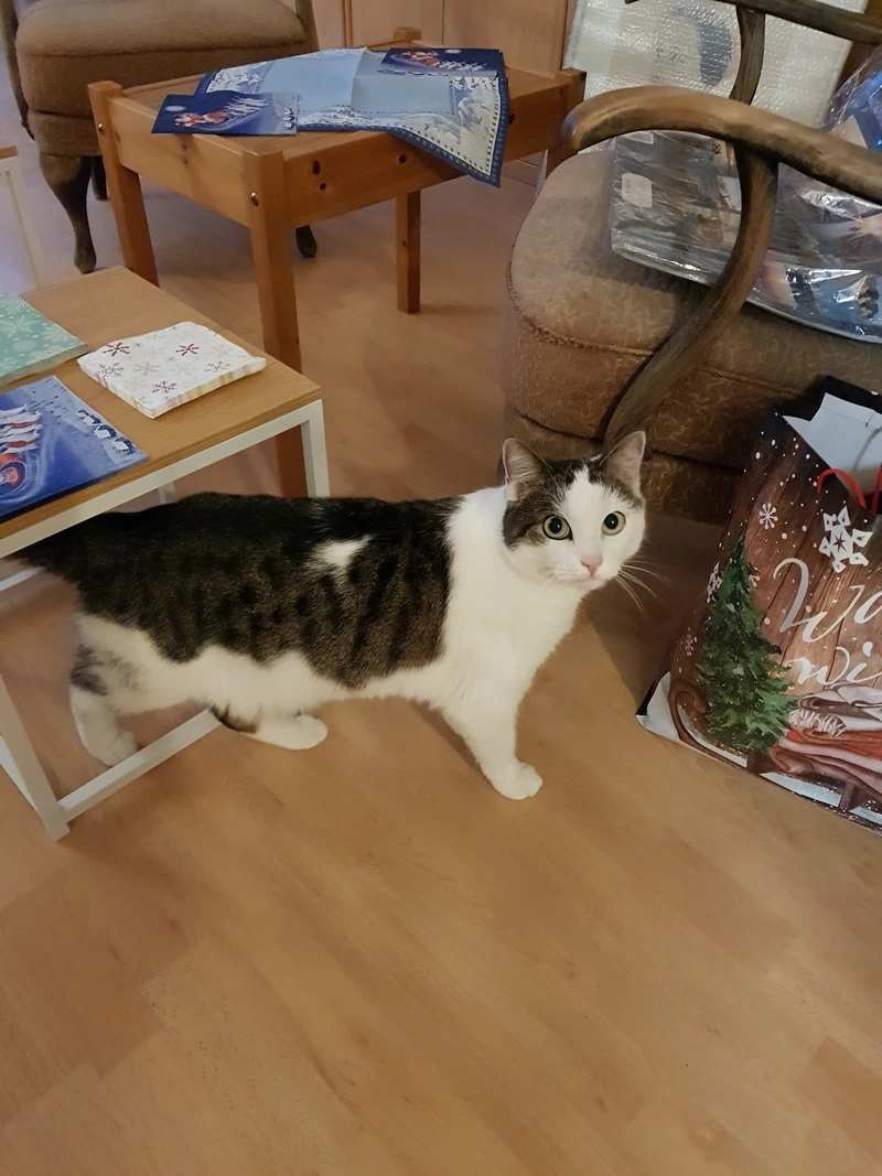 Ev. Altenhilfezentrum "Bodelschwingh-Haus" – Bild 2