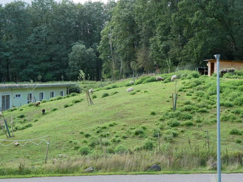 Seniorenzentrum Lene Reklat – Bild 3