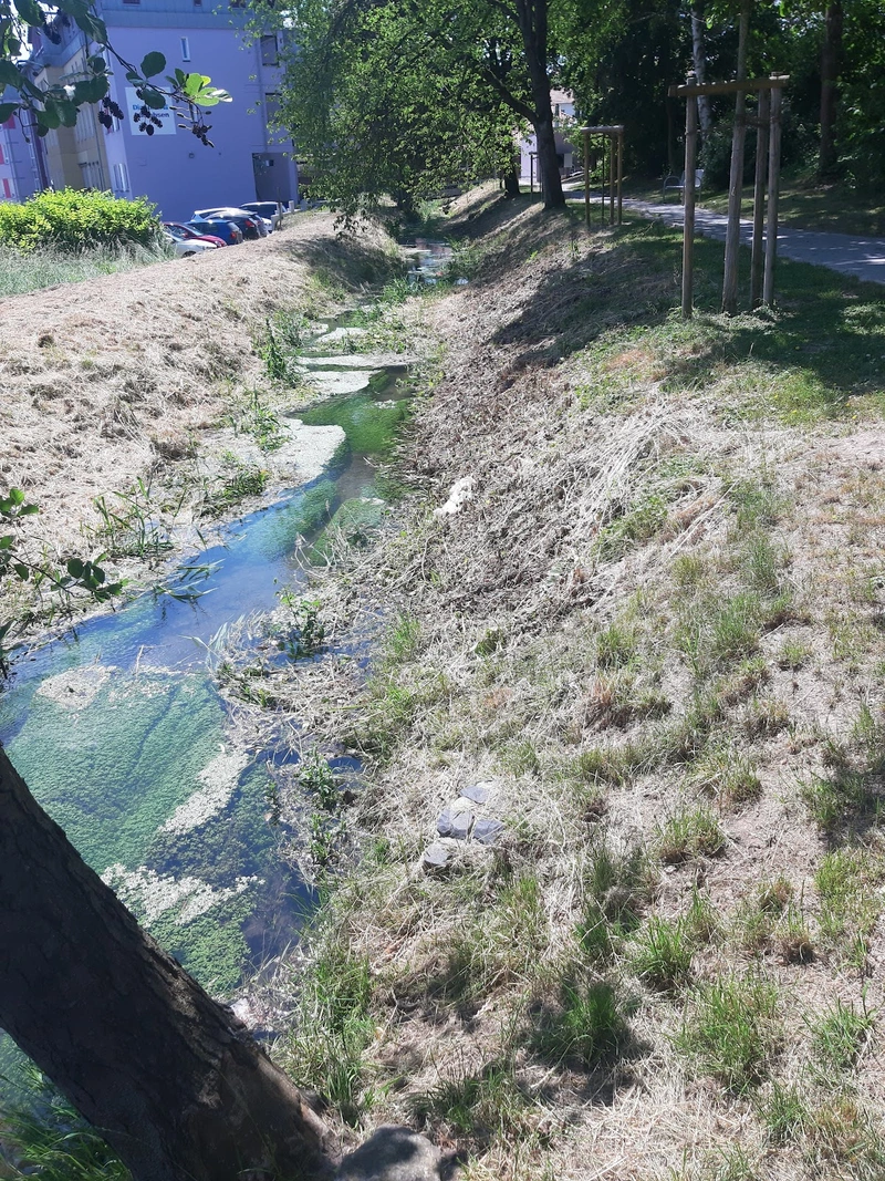 Diakonie Adelebsen Alma-Louisenstift – Bild 5