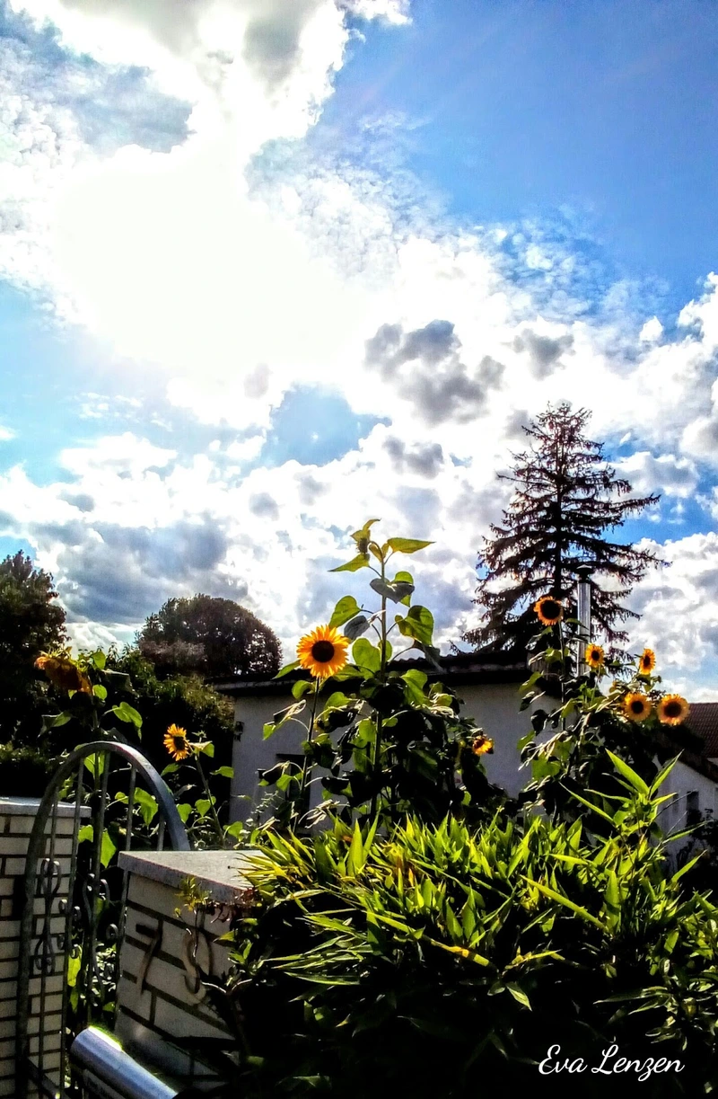 SZK Senioren-Zentrum Krefeld gGmbH – Bild 2