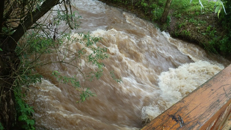 Sozialstation Eschershausen-Delligsen-Grünenplan – Bild 1