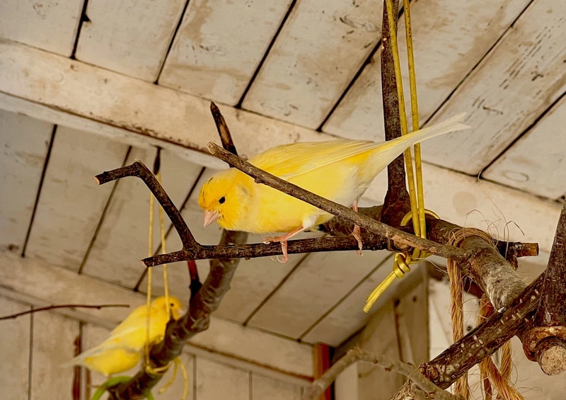 Heilig-Geist-Stiftung – Bild 4