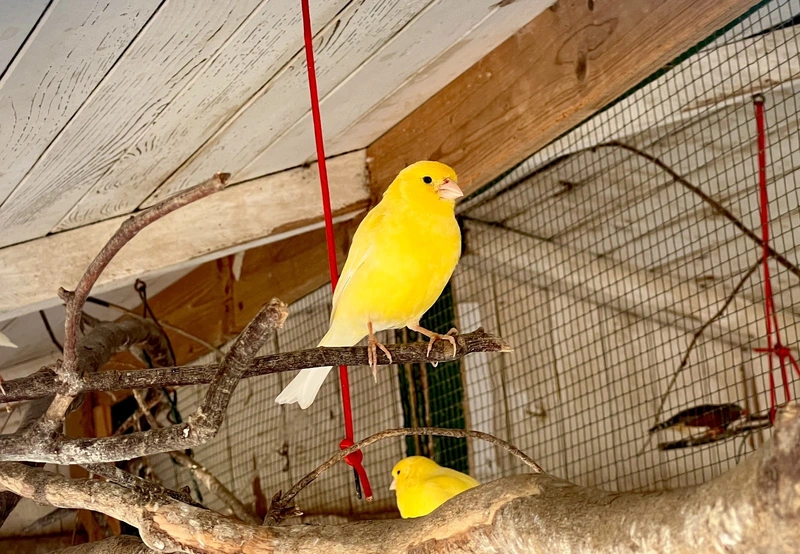 Heilig-Geist-Stiftung – Bild 5