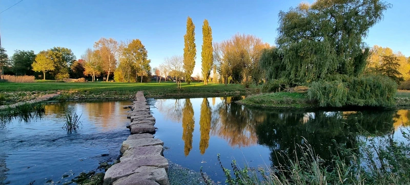 Agentur für Haushaltshilfe - Standort LK Grafschaft Bentheim – Bild 4