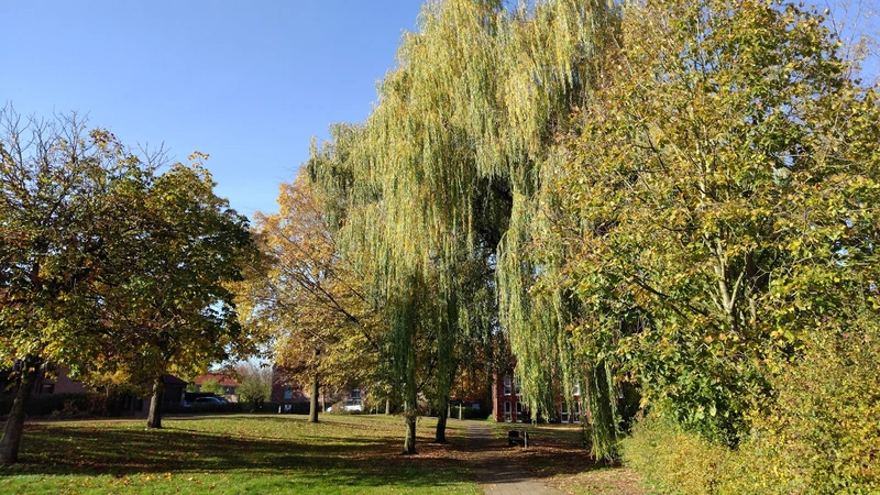 St. Ludgerus Stift – Bild 3