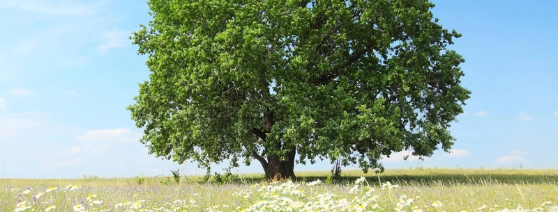 newcare home Hasbergen – Bild 5