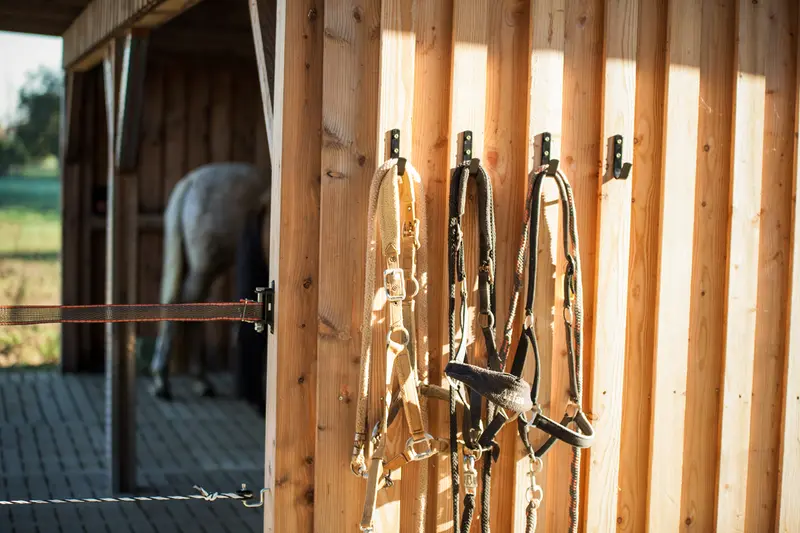 Lea-Marie Aßmann - Reiten auf dem Niedermühlenhof – Bild 1