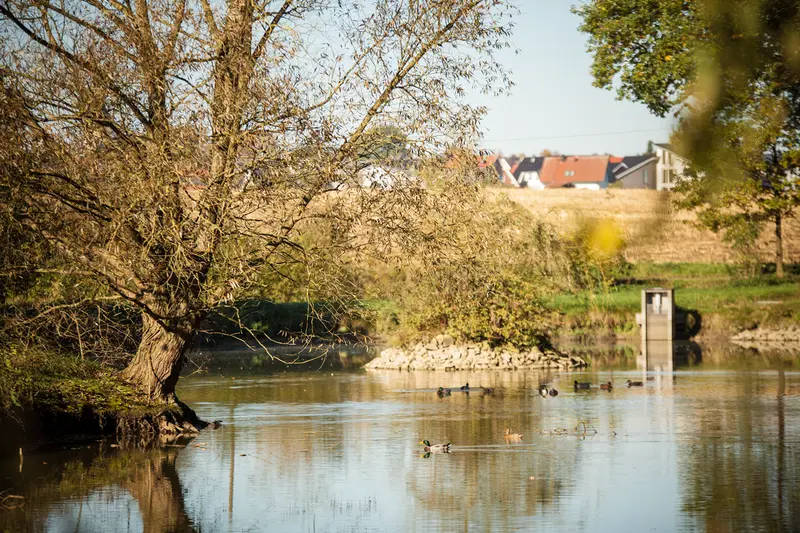 Lea-Marie Aßmann - Reiten auf dem Niedermühlenhof – Bild 5