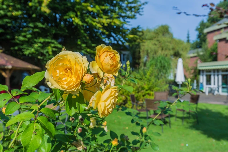 Aphasie-und Seniorenzentrum Josef Bergmann gGmbH – Bild 1