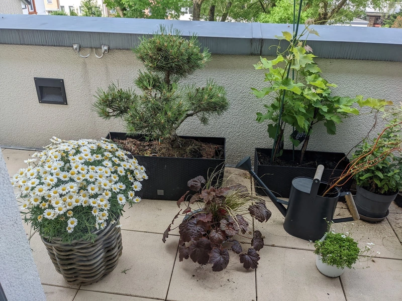 Wohnpark Lokschuppen GmbH & Co.KG – Bild 5