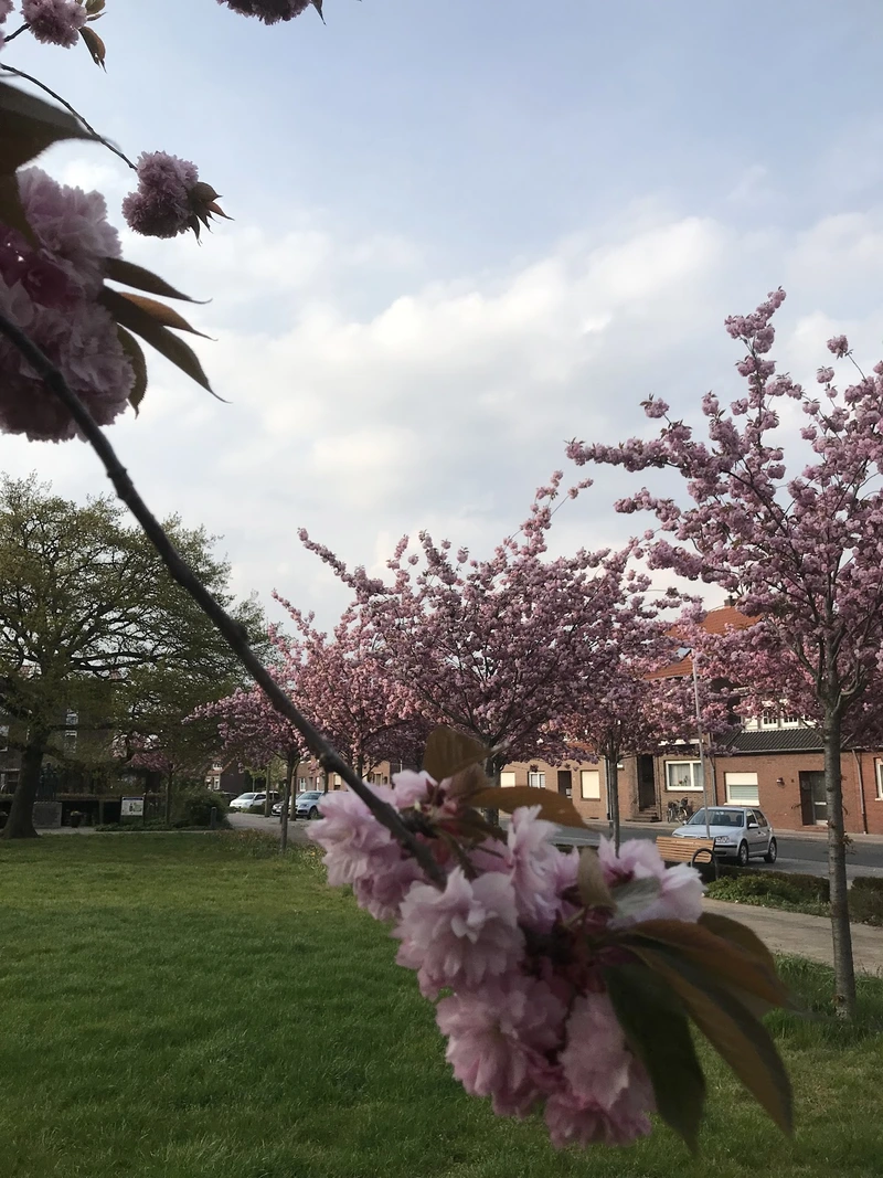 Seniorenzentrum St. Martinus - Tagespflege – Bild 2