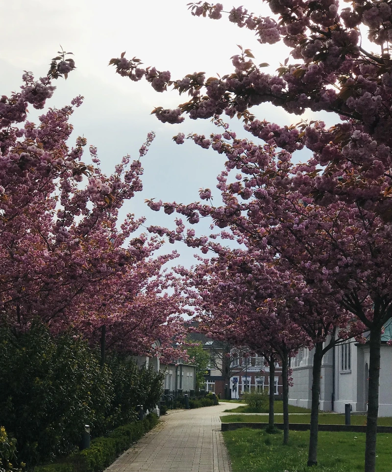 Seniorenzentrum St. Martinus - Tagespflege – Bild 4