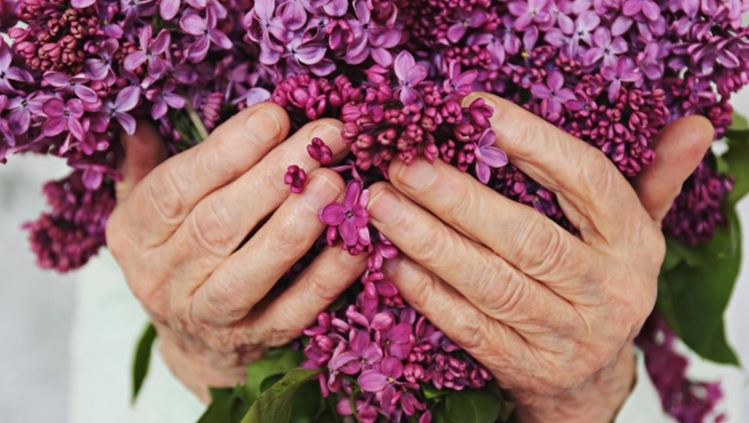 Alltagshelfer mit Herz – Bild 1