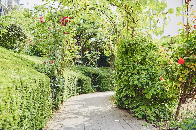 St. Katharina Hausgemeinschaften für Pflegebedürftige alte psychisch Kranke – Bild 4