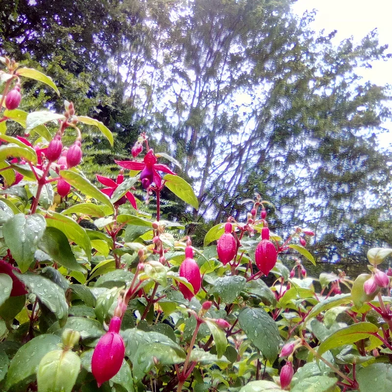 Ev. Seniorenzentrum Gummersbach – Bild 1