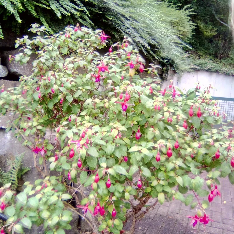 Ev. Seniorenzentrum Gummersbach – Bild 2