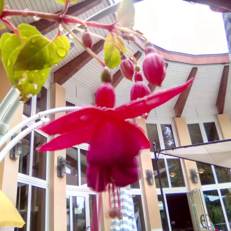 Ev. Seniorenzentrum Gummersbach – Bild 3